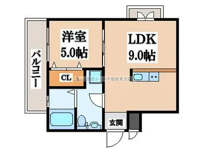メゾンパティオII(1LDK/2階)の間取り写真