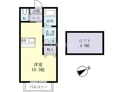 ドリームハウスC棟(ワンルーム/2階)の間取り写真