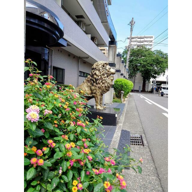 ライオンズプラザ平塚第2