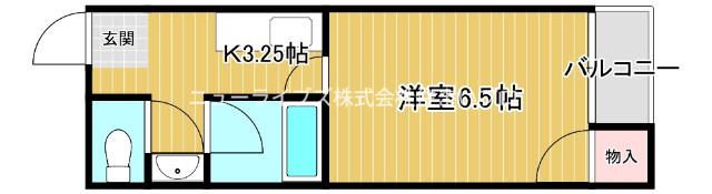 ライフワールド291(1K/2階)の間取り写真