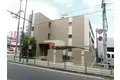 Y`S LUCAO
