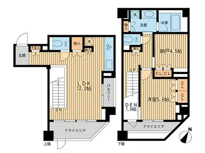 レジデンス三宿(1SLDK/1階)の間取り写真