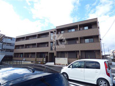 モアレ オークラ