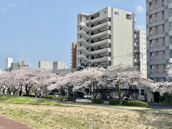 プレスト水戸中央(2SLDK/10階)