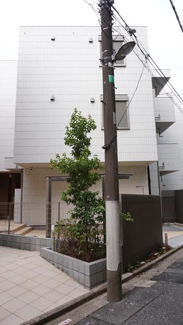 MAISON CUBEII