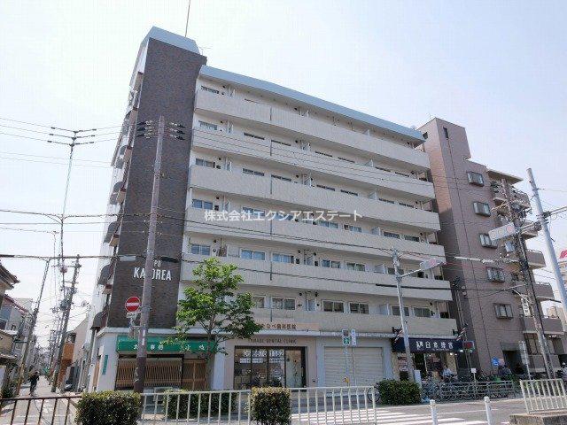 GRAND CORP CATTLEYA 