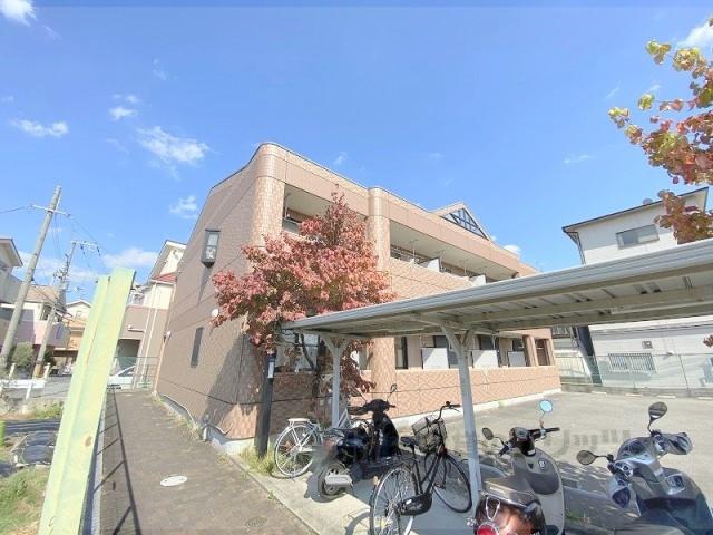 ブラウニーピア