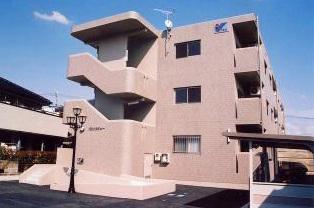 Y&Mカミュー