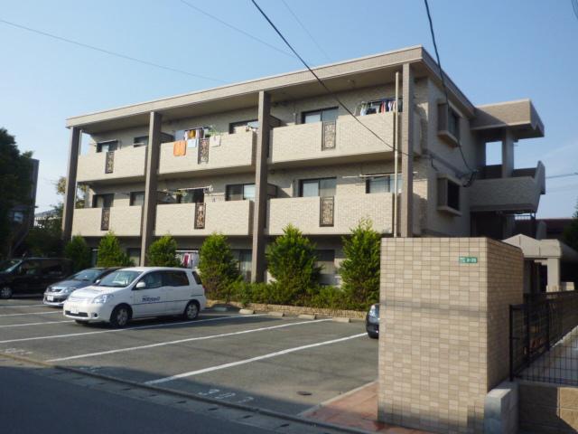 DEARCORT KAWANAMI
