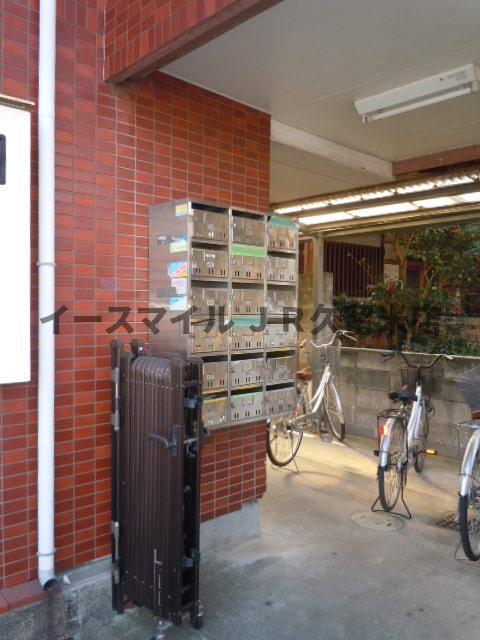 プライマリー久留米大東