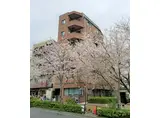 メゾン桜