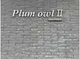 PLUM OWL