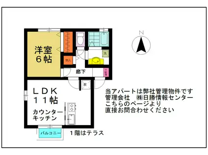 ムグンファ(1LDK/1階)の間取り写真