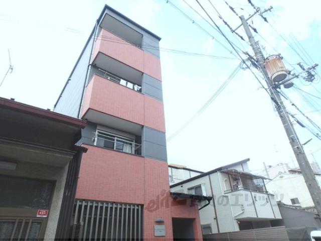フラッティ花園ミンク