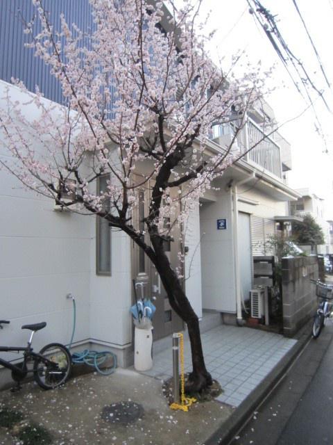 ステューディオ・ナル