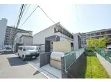 リブリ・すみれ草
