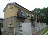 アコールパレットA