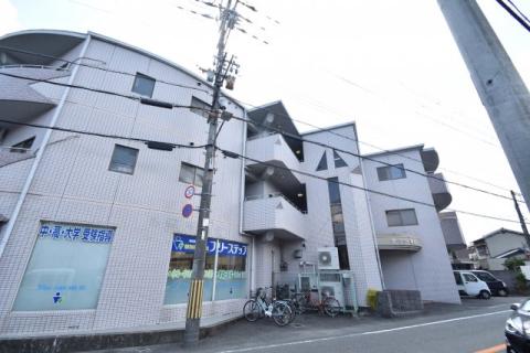 ラベンダー真上