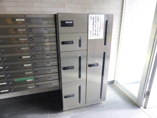 プラシードK