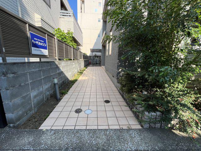 大城メゾン