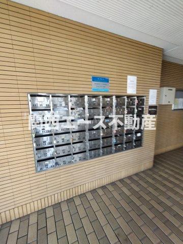 ハピネス48