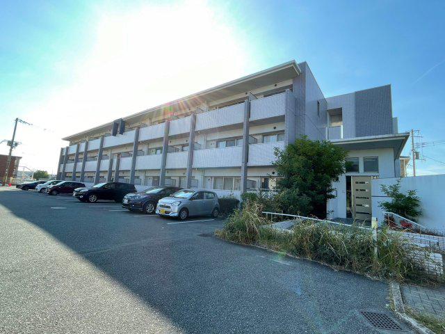 コージーコート