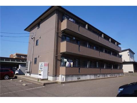 エル・スリー石橋(1LDK/2階)