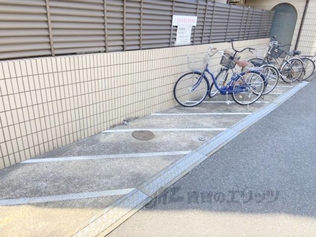 ダモールFUKUI