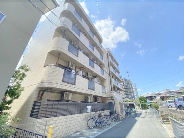 ダモールFUKUI