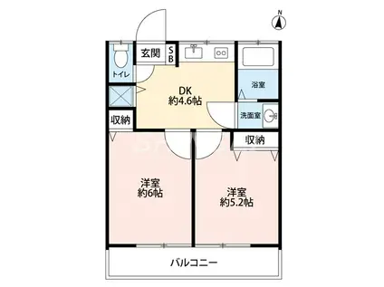 新栄コーポ(2DK/1階)の間取り写真