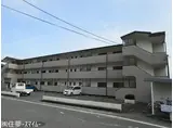 片川ハイツ