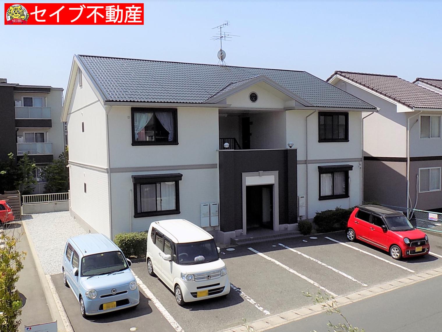 マルセリーノ関D