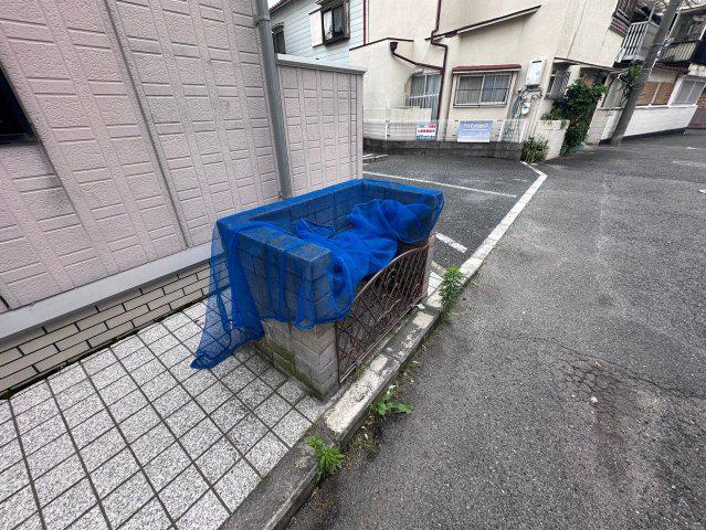 ラベンダ-の丘
