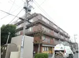 シティコーポパルナス久米川