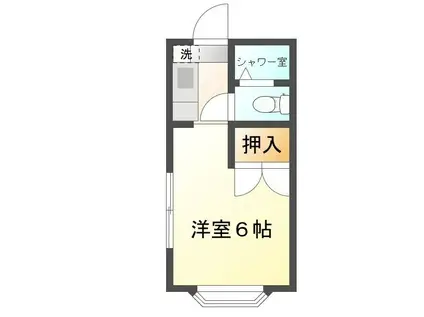 沢井コーポ(ワンルーム/2階)の間取り写真