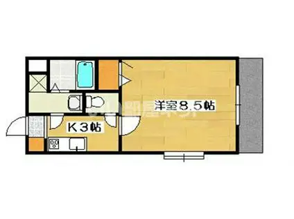 GRANDIR(1K/5階)の間取り写真