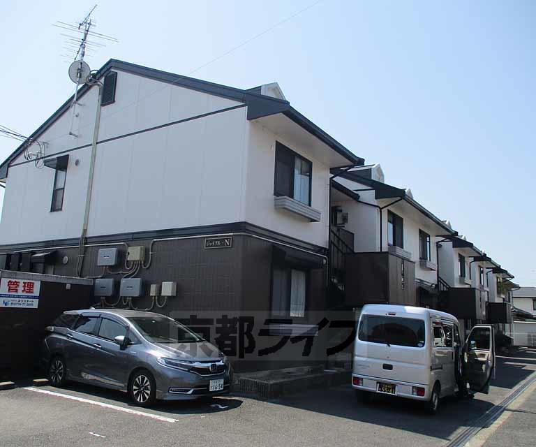 ジョイフルN Y