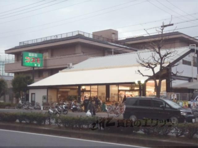 下津林番条町マンション