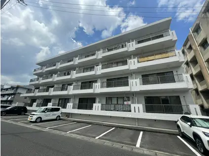 MS11(2DK/4階)の外観写真