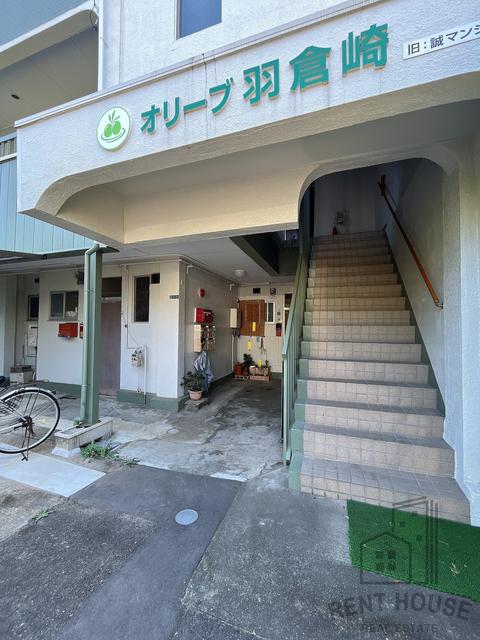 オリーブ羽倉崎