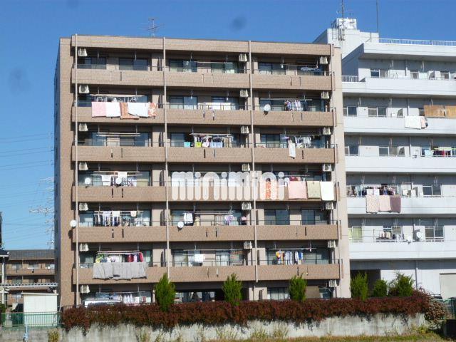アコールヤマショウ