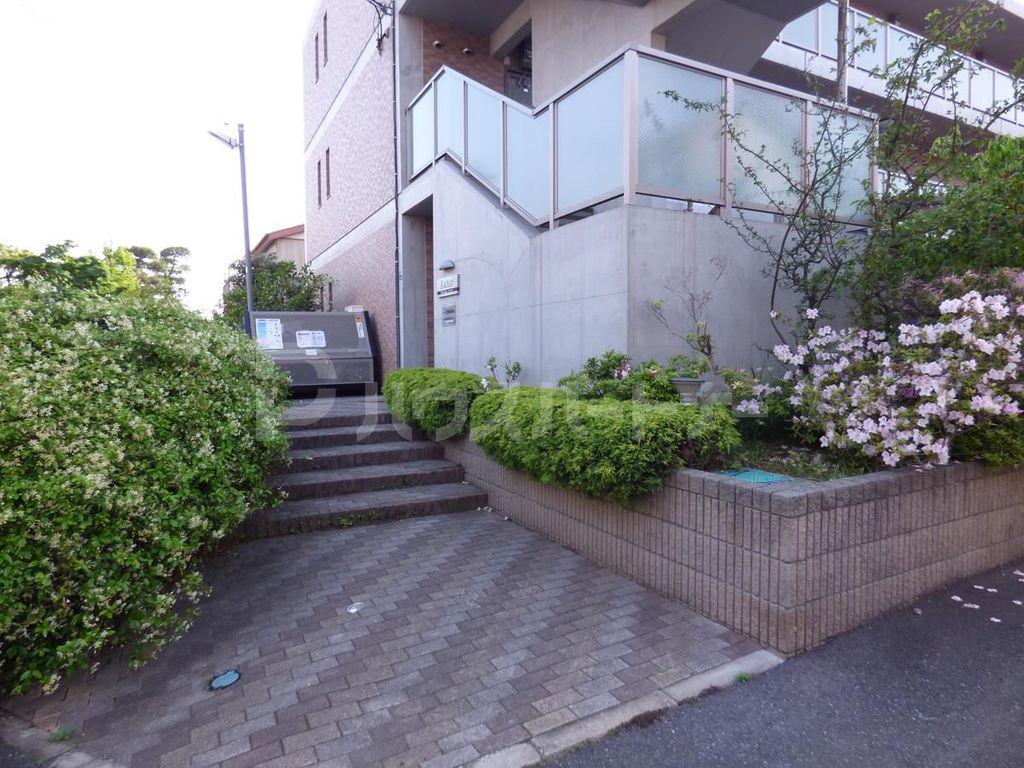グレイス・ササ