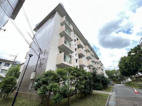 UR中山五月台11号棟(1LDK/3階)