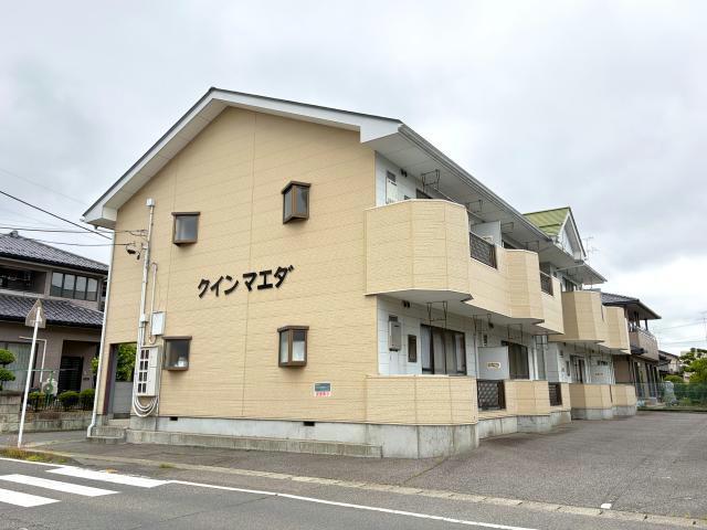 クインマエダ