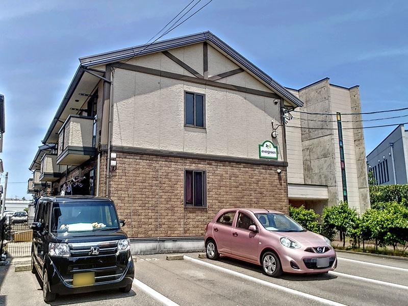 エヴァーグリーン