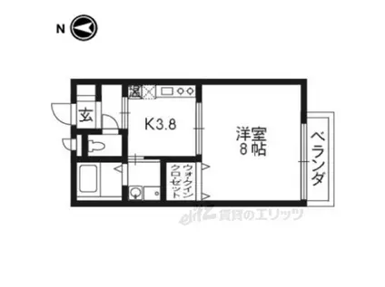 カナル桃山(1K/1階)の間取り写真