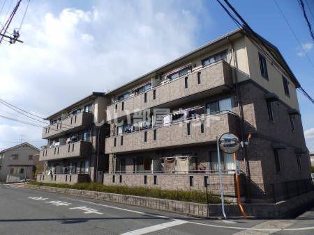 グレイス スクエア新涯 5 C棟