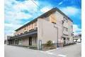 サンカープタチバナ