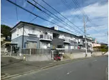 メロディ柏原