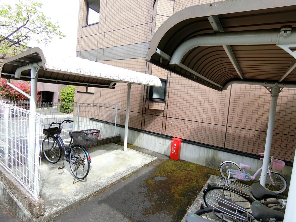 クリアスカイ